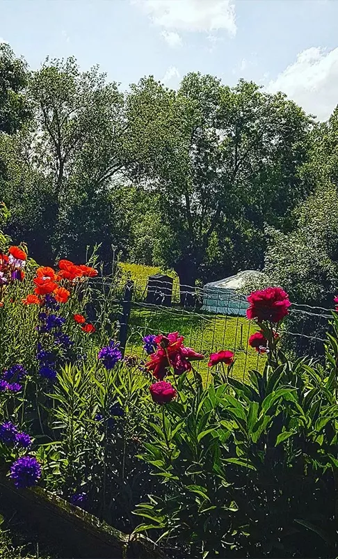 Le jardin des yourtes