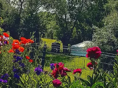Le jardin des yourtes